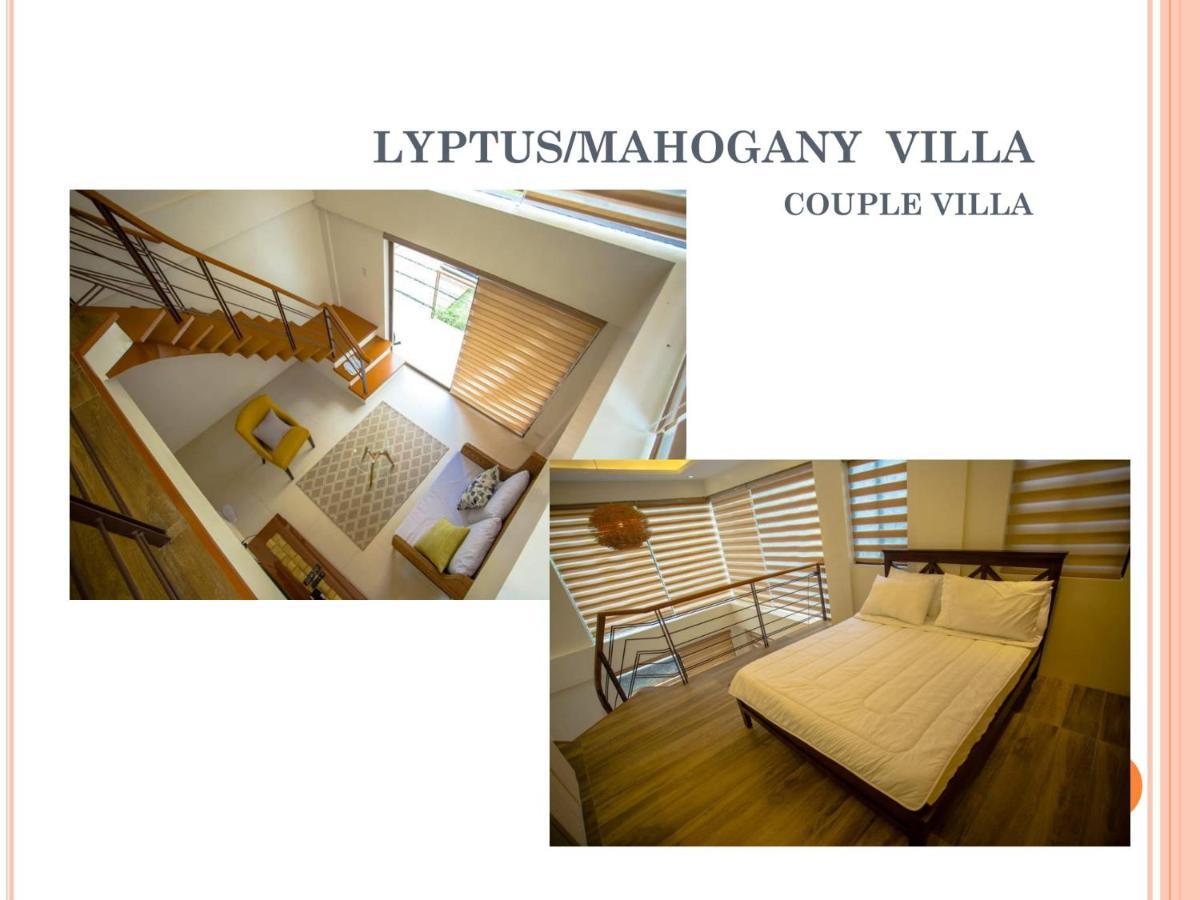 Estancia De Lorenzo San Mateo Екстериор снимка