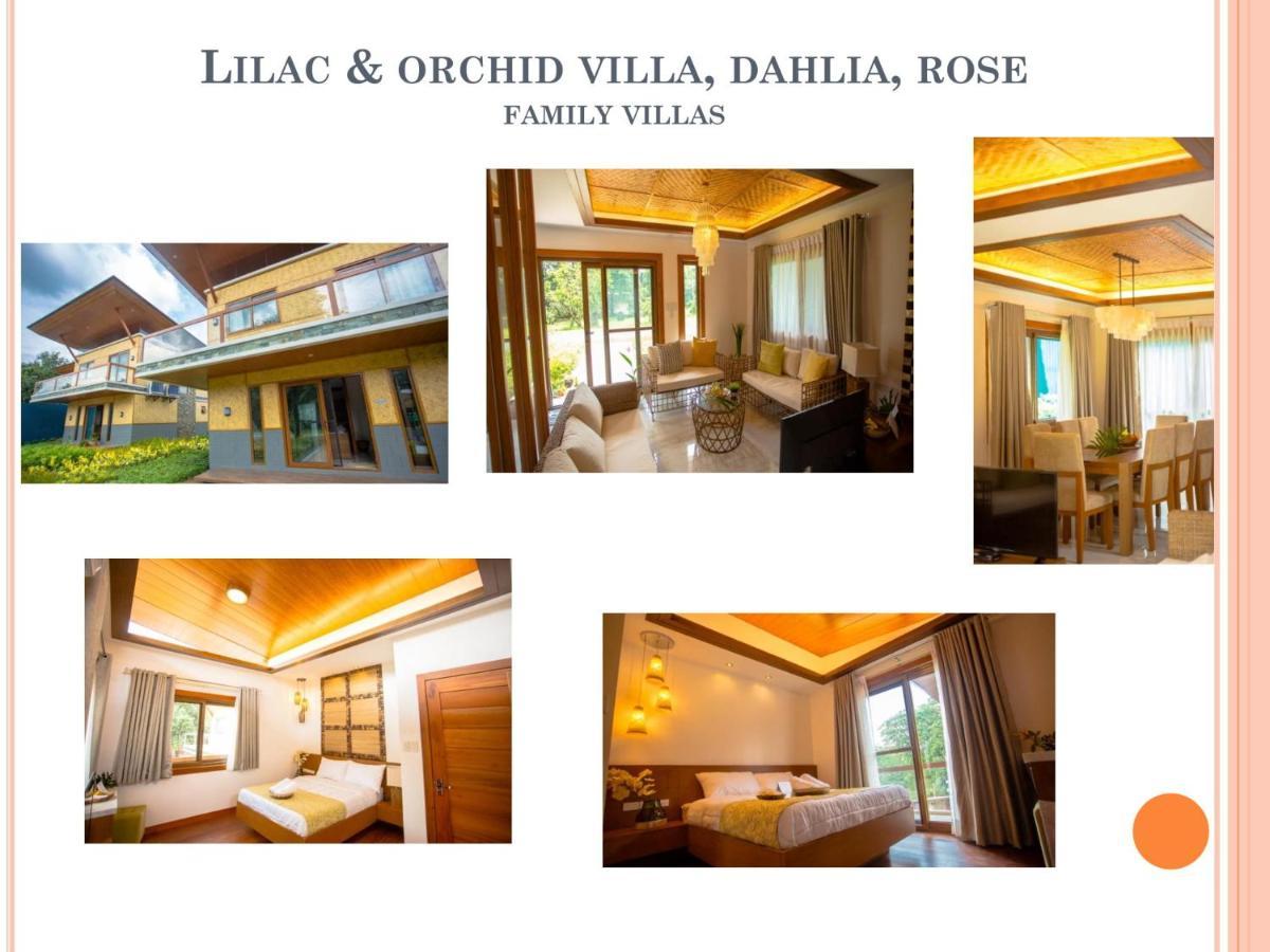 Estancia De Lorenzo San Mateo Екстериор снимка